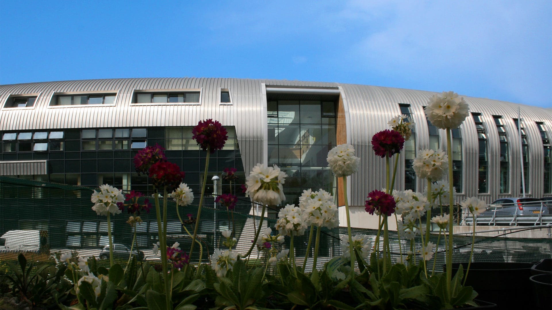 Exterior of SBSA campus with flowers